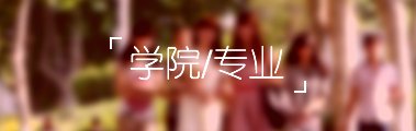 可改走栏目列表继续查找